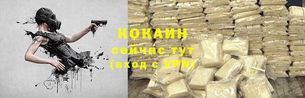 спиды Ладушкин