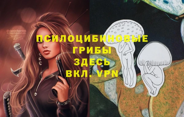 скорость Шарыпово