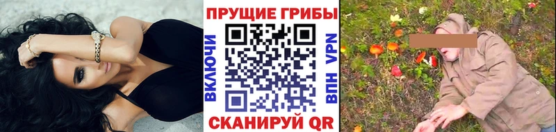 Галлюциногенные грибы мухоморы  Пугачёв 