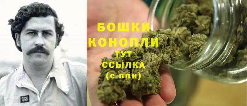 Бошки Шишки Bruce Banner  Пугачёв 